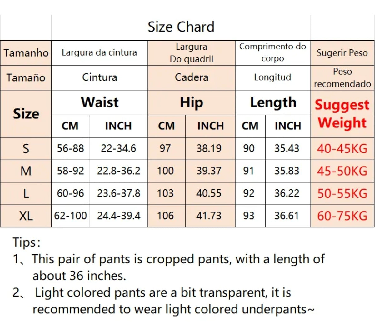 (🌍 PRODUCTO INTERNACIONAL) Pantalones Deportivos Mujer Cintura Elástica Cortos